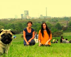 10 Pug Photobombs That Will Make You Smile, GUARANTEED.