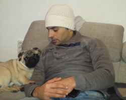 Adorable Pug Wants To Cuddle. Watch What Happens When Dad Moves Away…