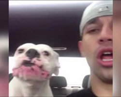 [Video] He Made Her Leave the Dog Park Early… Now Watch What She Has to Say About It!