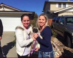 Former Marine Rescues Terrified Pug From House Fire