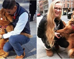 Friendly Golden Retriever Spreads Love On The Streets By Giving Out Hugs To Strangers