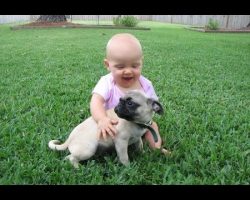 [VIDEO] This Funny Pug and Baby Video Compilation Will Make Your Day!