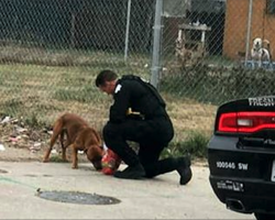Homeless dog is starving and close to death, then police officer shows up and makes it right