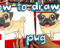 How To Draw A Cute Pug!