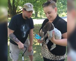 Disabled Veteran Is Looking To Adopt A Puppy. Then A Kennel Employee Does The Unthinkable