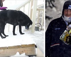 Mailman Does the Sweetest Thing for a Senior Dog on his Route