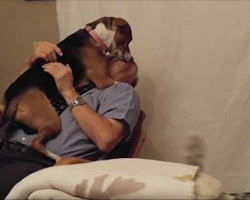 Newly Adopted Beagle Who Was Deathly Afraid At Shelter Adores Her New Daddy