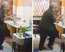 World’s Sweetest Groomer Caught Dancing With A Client’s Dog