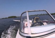 Pug Drives a Boat and Takes On The Open Water!