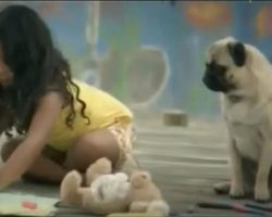 (VIDEO) Vodafone Commercial Featuring a Pug as a Little Girl’s Guardian Angel is SO Touching!
