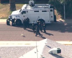 BREAKING NEWS: Pug Starts Fight With Police Dog During 4-Hour StandOff!