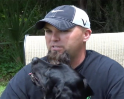 War Veteran Has A Panic Attack During An Interview. Watch The Service Dog…