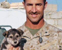 Soldier Undertakes Top Secret Mission To Get Stray Puppy Back Home With Him