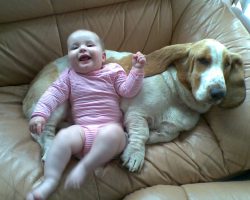 Top 10 Reasons Why Dogs Make The Perfect Babysitter