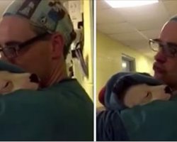 Puppy is scared and crying after his surgery, so vet cradles him like a baby