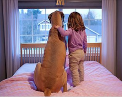 20 heartwarming photos that prove why all kids should grow up with a dog