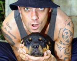6 Celebrity Rottweiler Owners