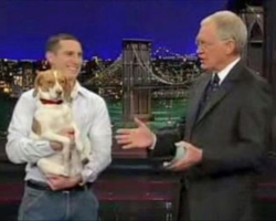 [Video] Man tells his dog to ‘play dead’ on national TV. See why this got the internet by storm!