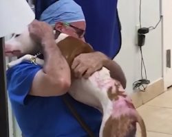 Chained Dog Who Suffered Severe Burns Reunites With The Vet Who Saved Him