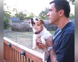 Dog Starts Making The Creepiest Noises Whenever Dad Says The Word “Squirrel”