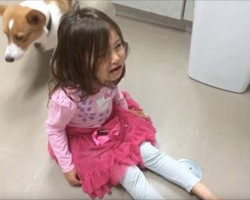 Corgi Hears Little Girl Having A Tantrum And Does The Sweetest Thing Ever