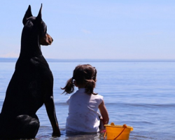 The Friendship Between A Girl And Her Doberman Pinscher Will Melt Your Heart