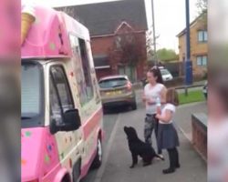 Dog Tries To Control His Excitement For Ice Cream, But His Tail Is A Dead Giveaway