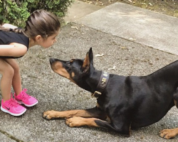 When This Family Got A Doberman, Mom And Dad Never Expected THIS To Happen To Their Daughter