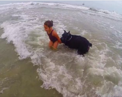 Sweet Giant Schnauzer Protects Her Girl From The Ocean Waves