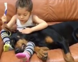 [Video] Girl Shares A Sweet Moment With Her Doberman Pinscher While Brushing His Teeth