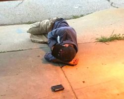 Homeless Man Sleeps All Night Outside Animal Shelter, Begs Them To Help Find His Dog