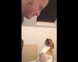 Dad tries to kiss mom, but the jealous dog has something to say about that