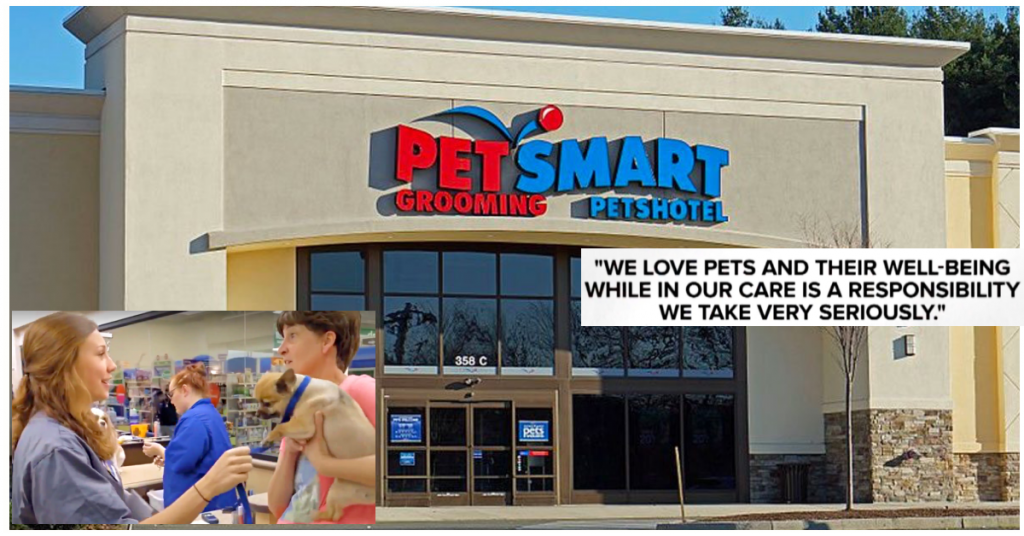 BREAKING At Least 4 Dogs Die After Grooming Appointments At PetSmart