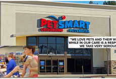BREAKING: At Least 4 Dogs Die After Grooming Appointments At PetSmart