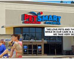 BREAKING: At Least 4 Dogs Die After Grooming Appointments At PetSmart