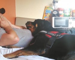 Veteran has an anxiety attack, but his Rottweiler knows just what to do