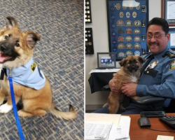 Police Department Brings In Rescue Puppy, And His Job Title Is To Die For