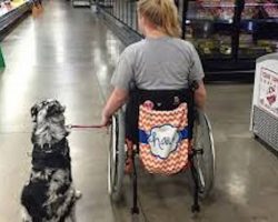 Teen With Epilepsy Warns Of Serious Consequences When Strangers Pet Service Dogs