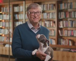 5 books worth reading this summer (and adorable puppies)… by Bill Gates