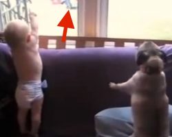 Mom Captures Priceless Moment Her Babies See Daddy Coming Home