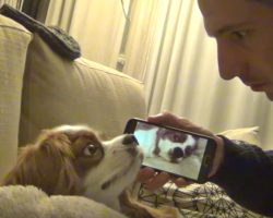 Comedian films his dog SNORING then plays it back to him. The result? Hilarious!