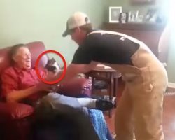 Dog Plays Possum Whenever This Man Picks Him Up And Everyone Dies Of Laughter