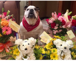 Husband Sends Flowers, Wife Not Amused When She Realizes They’re Not For Her
