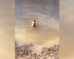 Bella Loves To Swim But When It’s Time To Leave, Her Tantrum Kicks In