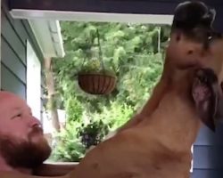 Owner Asks Pup If He’s a Dog or Baby, Dog’s Response Is Hysterical