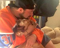 Kevin Smith Writes Painful Farewell To His 17-Year-Old Dog, And It’ll Bring You To Tears