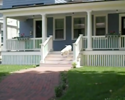 Mailman Stops And Waits Outside Of The House, Then The Dog Comes Running