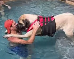 Huge Dog Is Afraid Of Water, So Her Loving Dad Teaches Her To Swim