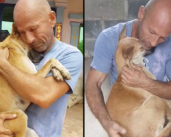 Man Rescues Dog From Slaughterhouse, And She Can’t Stop Hugging Him