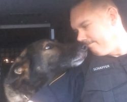 Officer Honors Beloved K-9 Partner With Final Radio Call After 8 Years Of Loyal Service
